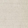 Varahill 8' x 10' Rug